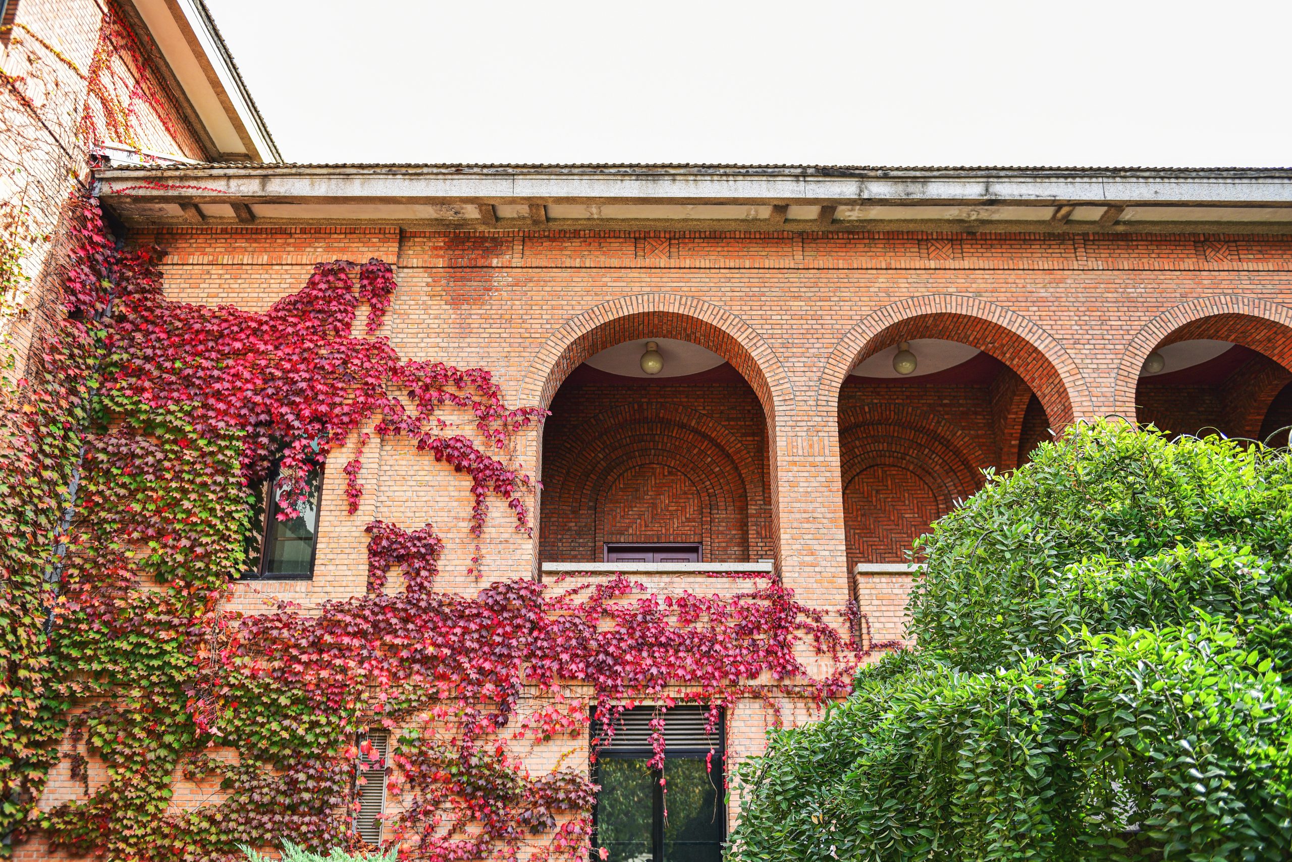 The Official Establishment of ZHUOER