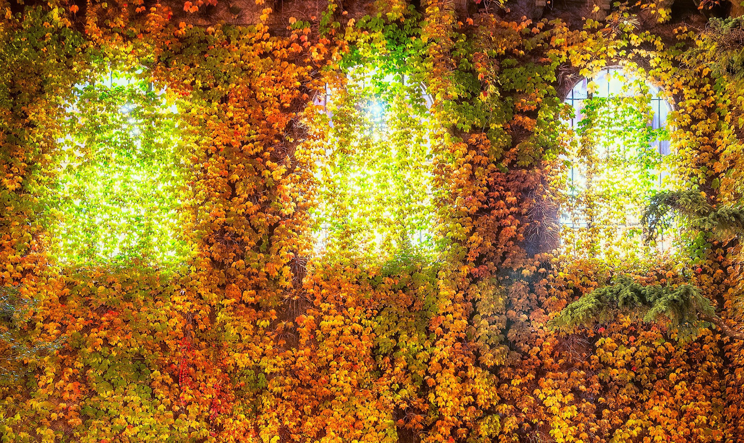 The Resolution of Tsinghua University on the Establishment of ZHUOER